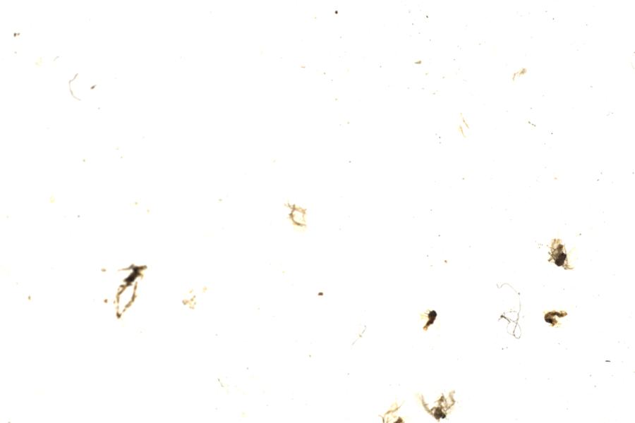 Image 200